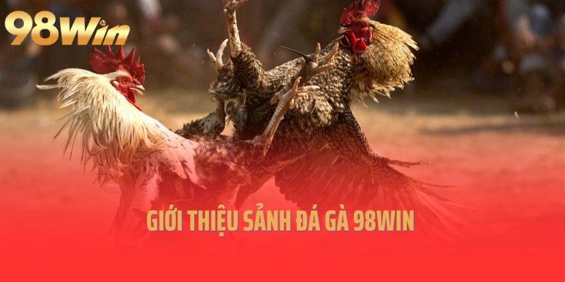 Giới thiệu sảnh đá gà 98Win
