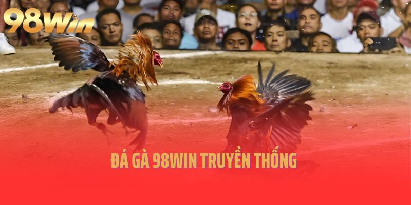 Đá gà 98Win truyền thống